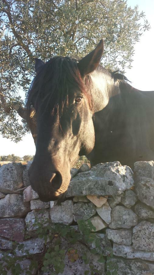 Masseria Gianca Cisternino Buitenkant foto